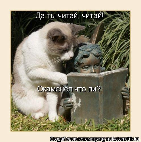 Котоматрица: Да ты читай, читай! Окаменел что ли?