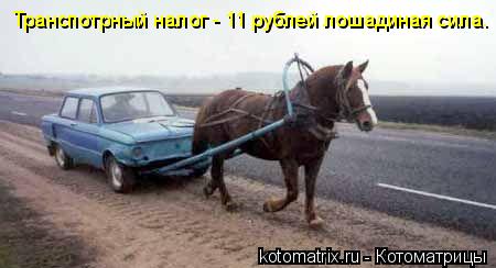 Котоматрица: Транспотрный налог - 11 рублей лошадиная сила.
