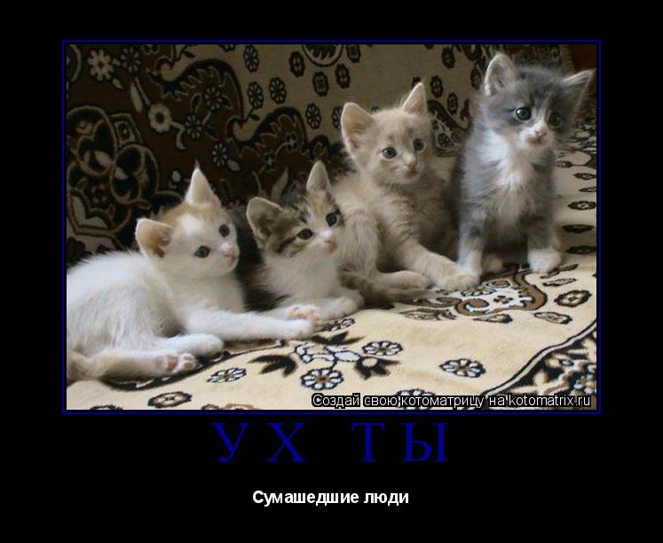 Котоматрица: Ух ты Сумашедшие люди