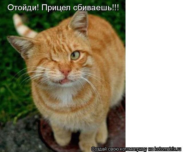 Котоматрица: Отойди! Прицел сбиваешь!!!