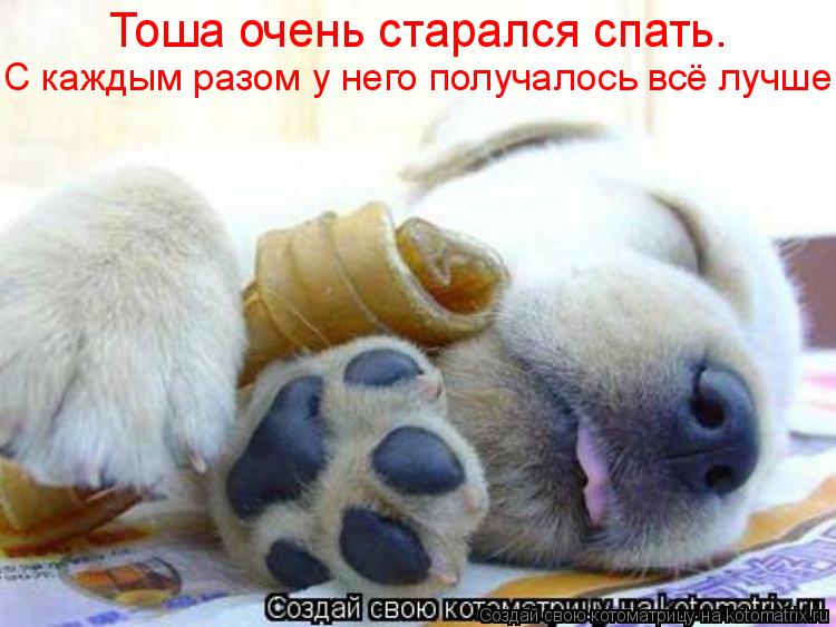 Тоша очень старался спать. С каждым разом у него получалось всё лучше.... Котоматрица: Тоша очень старался спать. С каждым разом у него получалось всё лучше.