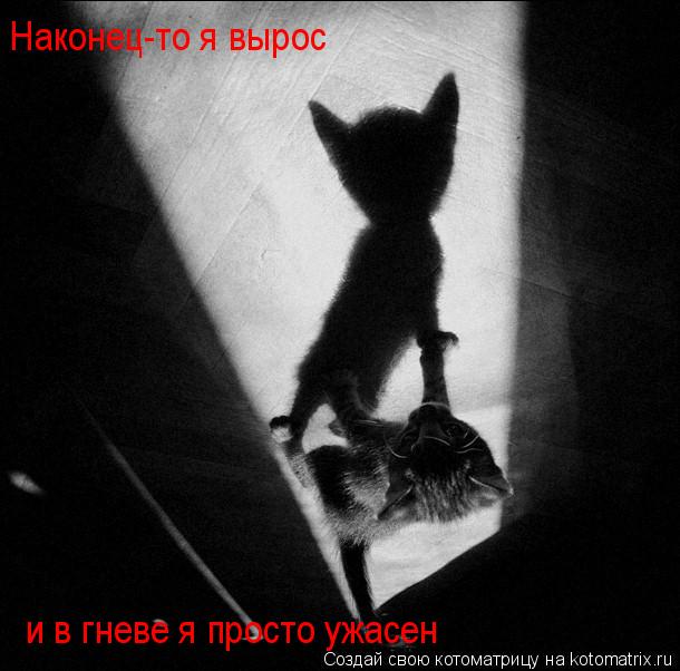 Котоматрица: Наконец-то я вырос и в гневе я просто ужасен