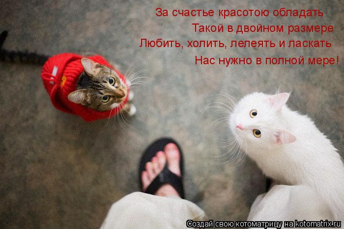 Котоматрица: За счастье красотою обладать Такой в двойном размере Любить, холить, лелеять и ласкать Нас нужно в полной мере!