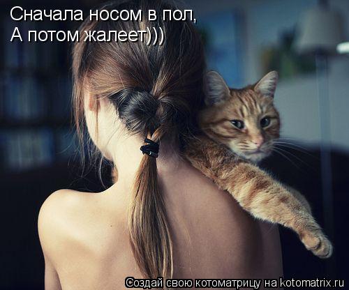 Котоматрица: Сначала носом в пол, А потом жалеет)))