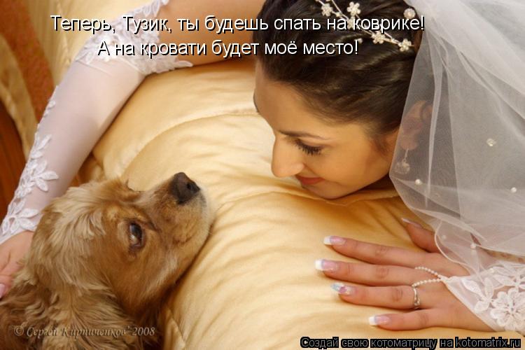 Котоматрица: Теперь, Тузик, ты будешь спать на коврике! А на кровати будет моё место!