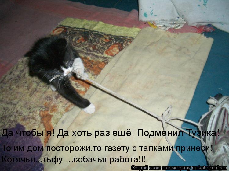 Котоматрица: Да чтобы я! Да хоть раз ещё! Подменил Тузика! То им дом посторожи,то газету с тапками принеси! Котячья...тьфу ...собачья работа!!!