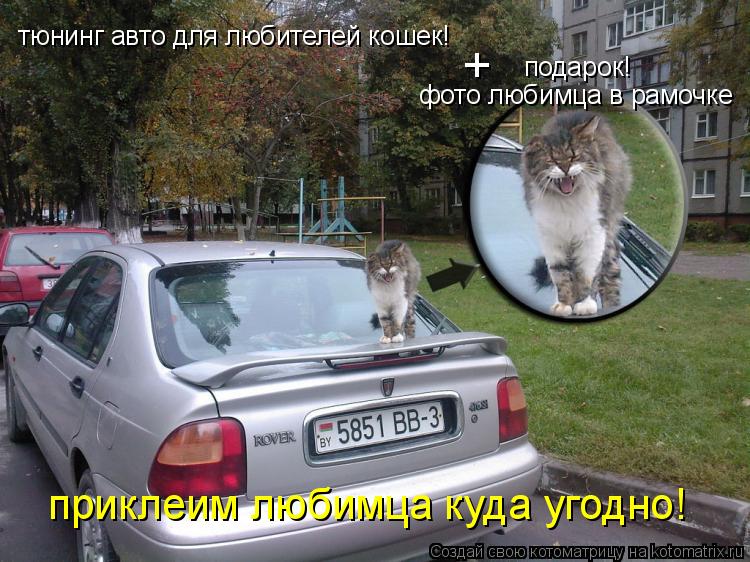 Котоматрица: тюнинг авто для любителей кошек! подарок! фото любимца в рамочке + приклеим любимца куда угодно!