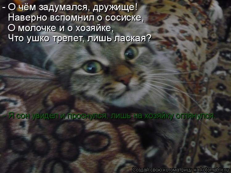 Котоматрица: - О чём задумался, дружище! Наверно вспомнил о сосиске, О молочке и о хозяйке, Что ушко трепет, лишь лаская? - Я сон увидел и проснулся, лишь на 