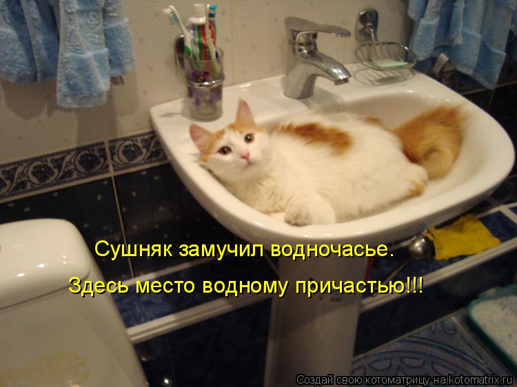 Котоматрица: Сушняк замучил водночасье. Здесь место водному причастью!!!