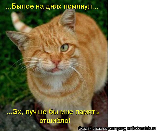...Былое на днях помянул... ...Эх, лучше бы мне память отшибло!... Котоматрица: ...Былое на днях помянул... ...Эх, лучше бы мне память отшибло!