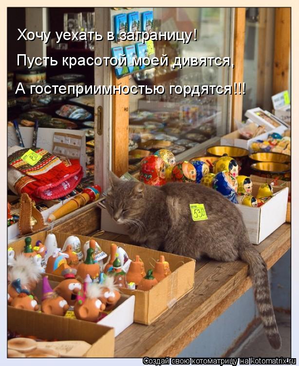Котоматрица: Хочу уехать в заграницу! Пусть красотой моей дивятся, А гостеприимностью гордятся!!!