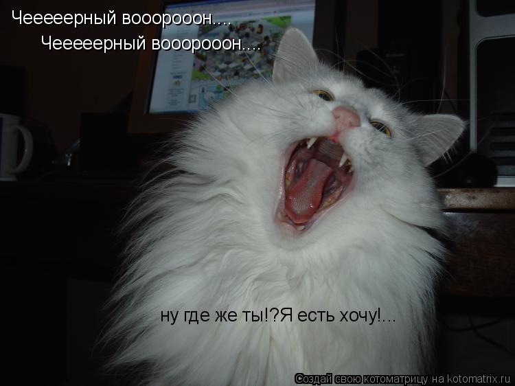 Котоматрица: Чееееерный вооорооон.... Чееееерный вооорооон....  ну где же ты!?Я есть хочу!...