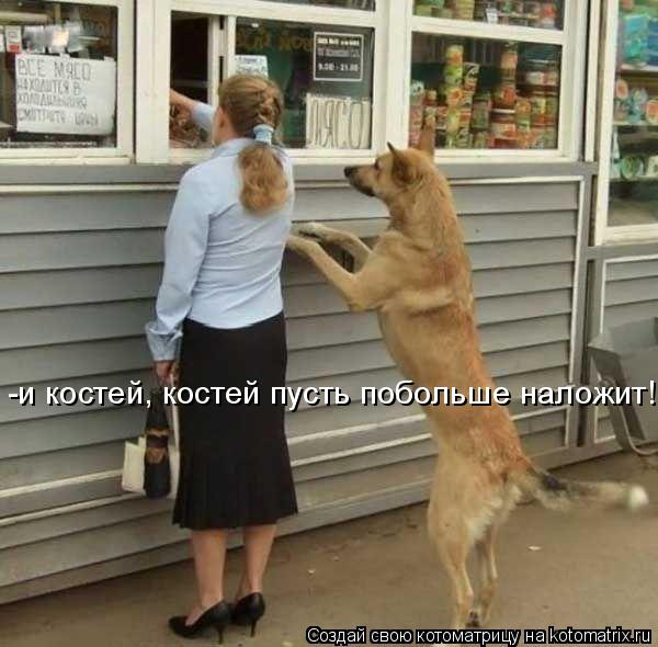 -и костей, костей пусть побольше наложит!... Котоматрица: -и костей, костей пусть побольше наложит!