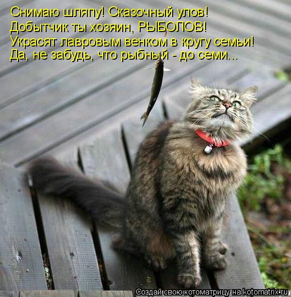 Снимаю шляпу! Сказочный улов! Добытчик ты хозяин, РЫБОЛОВ! Украсят лавровым венком в кругу семьи! Да,... Котоматрица: Снимаю шляпу! Сказочный улов! Добытчик ты хозяин, РЫБОЛОВ! Украсят лавровым венком в кругу семьи! Да, не забудь, что рыбный - до семи...