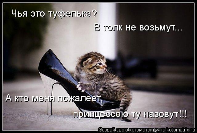 Чья это туфелька? В толк не возьмут... А кто меня пожалеет, принцессою ту назовут!!!... Котоматрица: Чья это туфелька? В толк не возьмут... А кто меня пожалеет, принцессою ту назовут!!!
