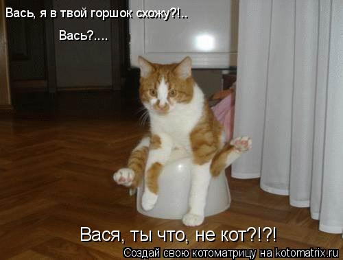 Вась, я в твой горшок схожу?!.. Вась?.... Вася, ты что, не кот?!?!... Котоматрица: Вась, я в твой горшок схожу?!.. Вась?.... Вася, ты что, не кот?!?!