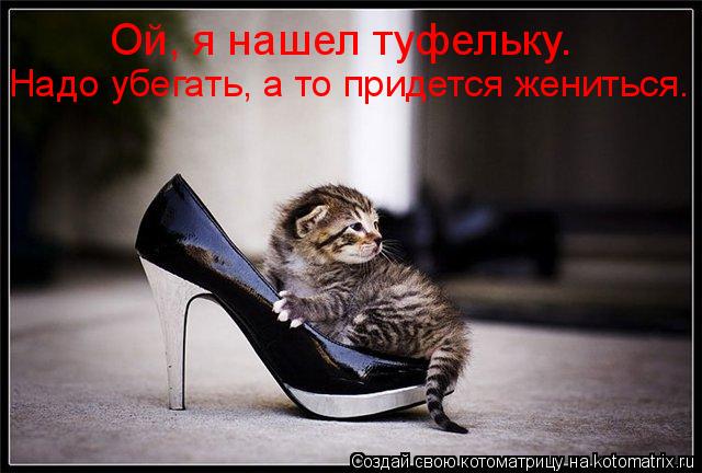 Ой, я нашел туфельку. Надо убегать, а то придется жениться.... Котоматрица: Ой, я нашел туфельку. Надо убегать, а то придется жениться.