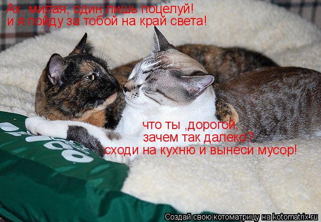 Ах, милая, один лишь поцелуй! и я пойду за тобой на край света! что ты ,дорогой, зачем так далеко? с... Котоматрица: Ах, милая, один лишь поцелуй! и я пойду за тобой на край света! что ты ,дорогой, зачем так далеко? сходи на кухню и вынеси мусор!