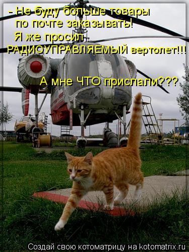 Котоматрица: - Не буду больше товары  по почте заказывать! Я же просил РАДИОУПРАВЛЯЕМЫЙ вертолет!!! А мне ЧТО прислали???