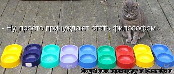 Котоматрица: - Ну, просто принуждают стать философом!...