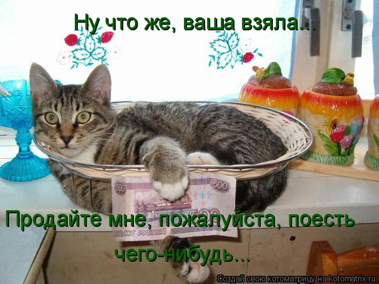 Котоматрица: Ну что же, ваша взяла... Продайте мне, пожалуйста, поесть  чего-нибудь...