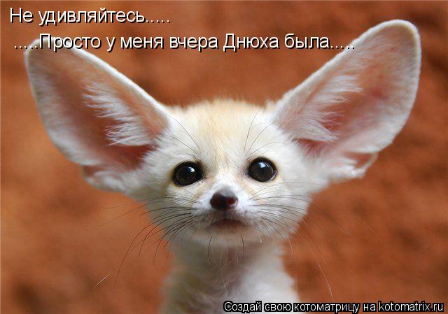 Котоматрица: Не удивляйтесь..... .....Просто у меня вчера Днюха была.....