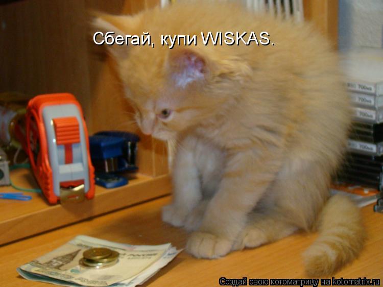 Котоматрица: Сбегай, купи WISKAS.