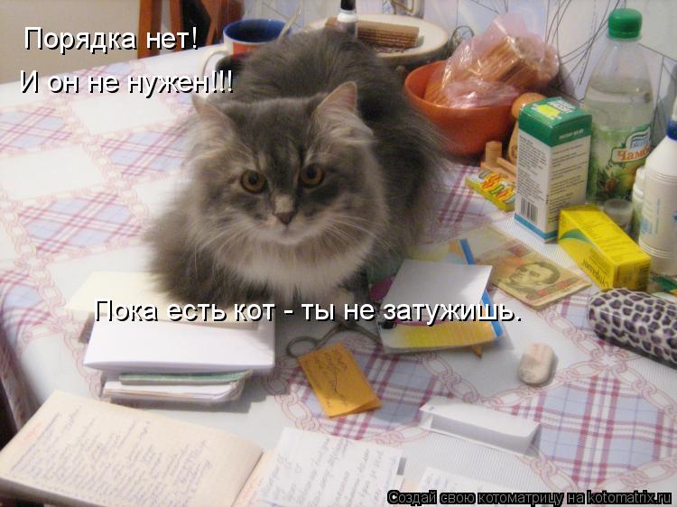 Котоматрица: Порядка нет! И он не нужен!!! Пока есть кот - ты не затужишь.