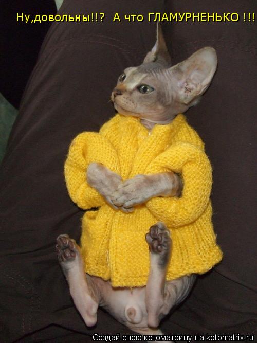 Котоматрица: Ну,довольны!!?  А что ГЛАМУРНЕНЬКО !!!