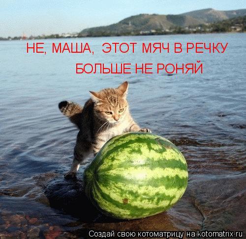 Котоматрица: НЕ, МАША,  ЭТОТ МЯЧ В РЕЧКУ  БОЛЬШЕ НЕ РОНЯЙ