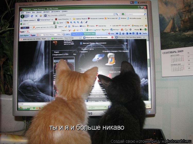 Котоматрица: ты и я и больше никаво