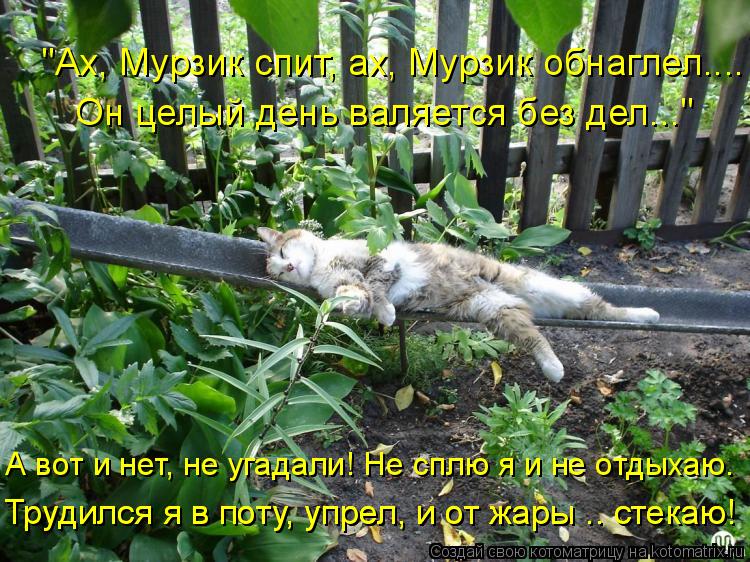 "Ах, Мурзик спит, ах, Мурзик обнаглел.... Он целый день валяется без дел..." А вот и нет, не угадали!... Котоматрица: "Ах, Мурзик спит, ах, Мурзик обнаглел.... Он целый день валяется без дел..." А вот и нет, не угадали! Не сплю я и не отдыхаю. Трудился я в поту, упр