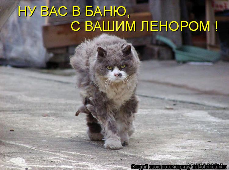 Котоматрица: НУ ВАС В БАНЮ,  С ВАШИМ ЛЕНОРОМ !