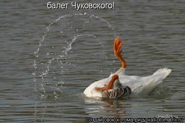Котоматрица: балет Чуковского!