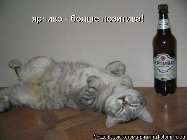 Котоматрица: ярпиво - болше позитива!