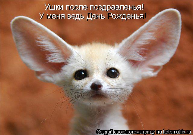 Котоматрица: Ушки после поздравленья! У меня ведь День Рожденья!