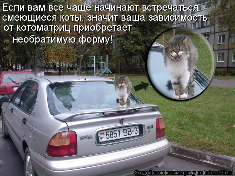 от котоматриц приобретает необратимую форму! Если вам все чаще начинают встречаться смеющиеся коты, з... Котоматрица: от котоматриц приобретает необратимую форму! Если вам все чаще начинают встречаться смеющиеся коты, значит ваша зависимость