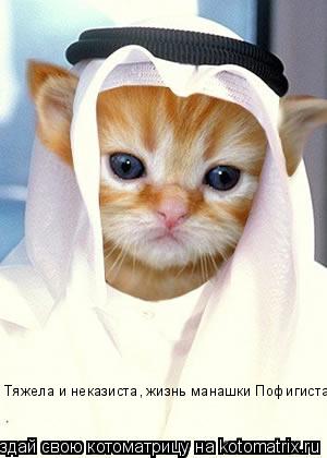 Котоматрица: Тяжела и неказиста, жизнь манашки Пофигиста!