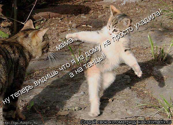 Котоматрица: ну теперь видишь что я из дому не просто ухадила! мама , а на танцы!