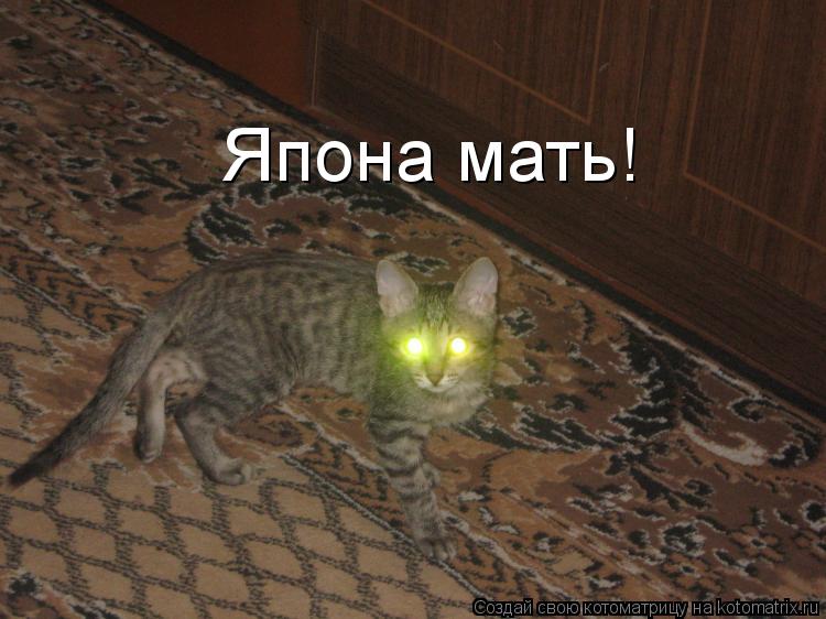Котоматрица: Япона мать!