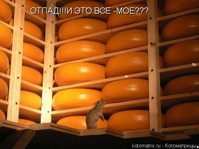 Котоматрица: ОТПАД!!!И ЭТО ВСЕ -МОЕ???