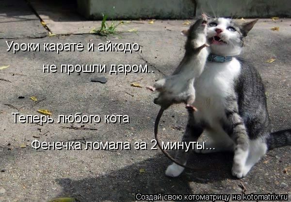 Котоматрица: Уроки карате и айкодо,  не прошли даром..  Теперь любого кота Фенечка ломала за 2 минуты...