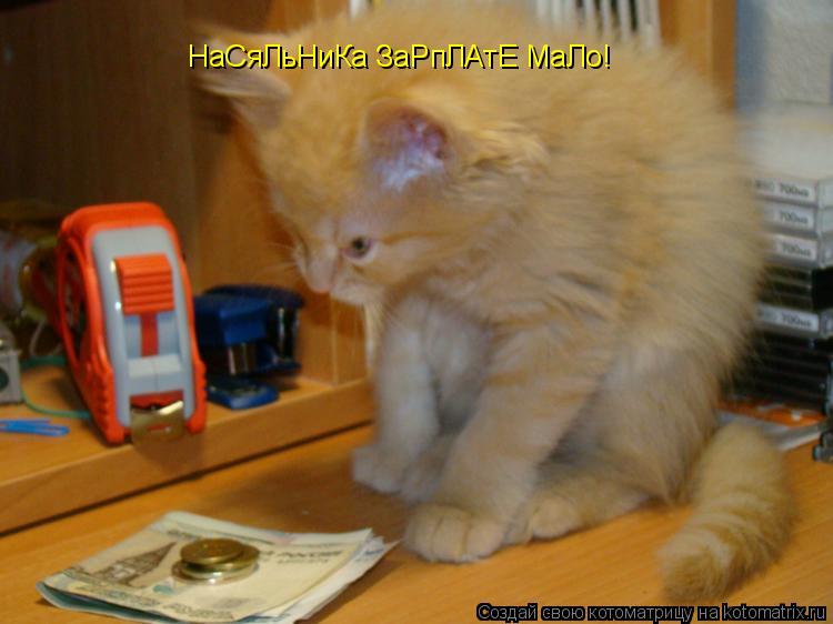 Котоматрица: НаСяЛьНиКа ЗаРпЛАтЕ МаЛо!