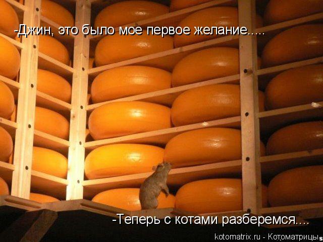 -Джин, это было мое первое желание..... -Теперь с котами разберемся....... Котоматрица: -Джин, это было мое первое желание..... -Теперь с котами разберемся....