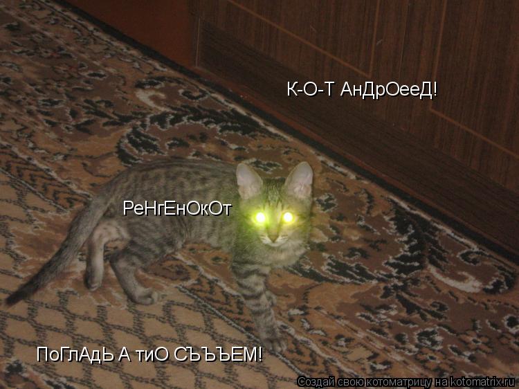 Котоматрица: К-О-Т АнДрОееД! РеНгЕнОкОт ПоГлАдЬ А тиО СЪЪЪЕМ!