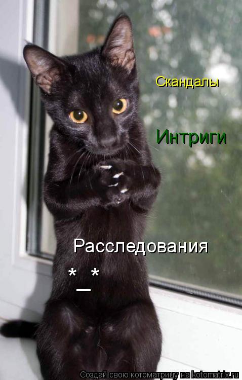 Котоматрица: Скандалы Интриги Расследования *_*