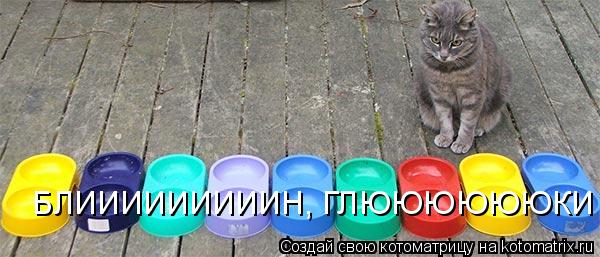 Котоматрица: БЛИИИИИИИИИН, ГЛЮЮЮЮЮЮКИ