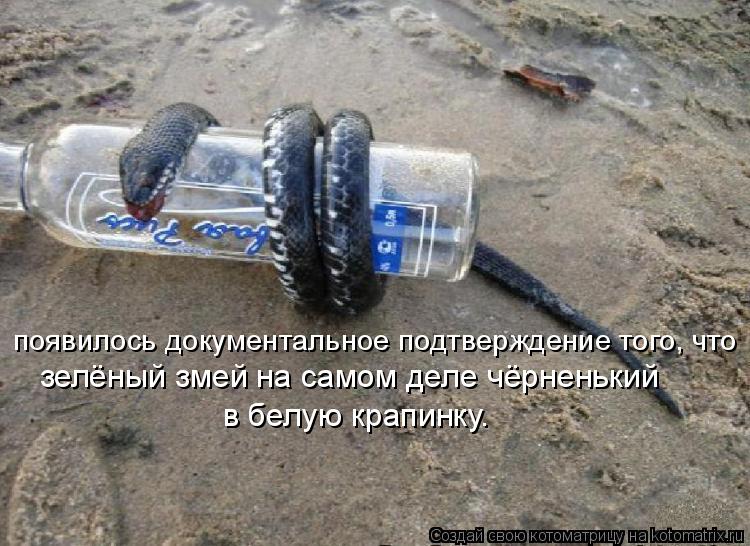появилось документальное подтверждение того, что зелёный змей на самом деле чёрненький в белую крапи... Котоматрица: появилось документальное подтверждение того, что зелёный змей на самом деле чёрненький в белую крапинку.