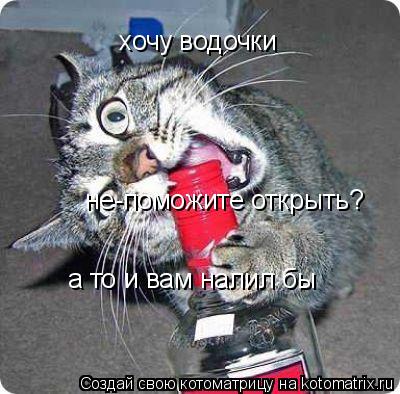 Котоматрица: хочу водочки не-поможите открыть? а то и вам налил бы