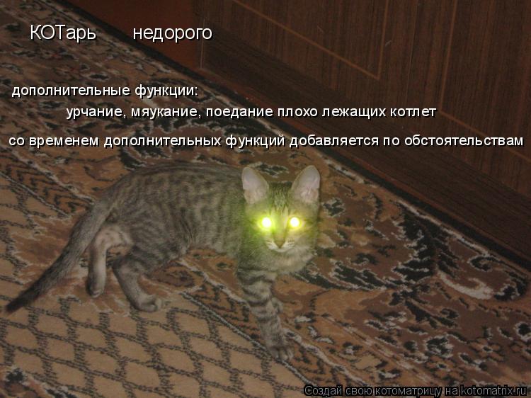 Котоматрица: дополнительные функции: урчание, мяукание, поедание плохо лежащих котлет КОТарь       недорого со временем дополнительных функций добавляет